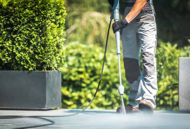 Best Driveway Cleaning and Restoration in Fraser, CO