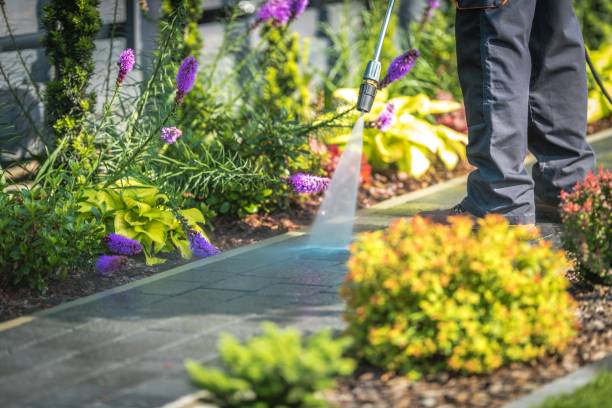 Best Deck and Patio Pressure Washing in Fraser, CO